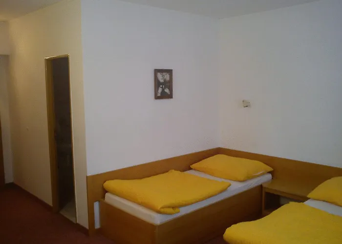 Hotel Pelikan 3*